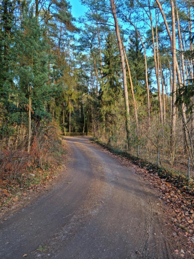 Waldhaus Doetlingen Ferienhaus Im Naturpark Exteriér fotografie